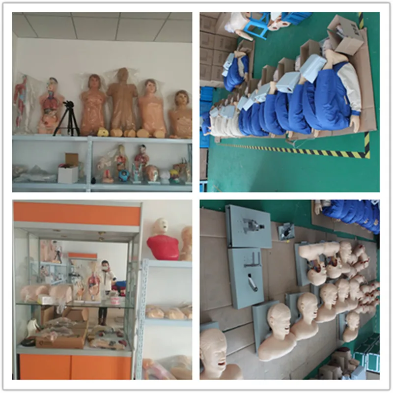 ADA-H2T medical science silicone materials human buttock model for injection training