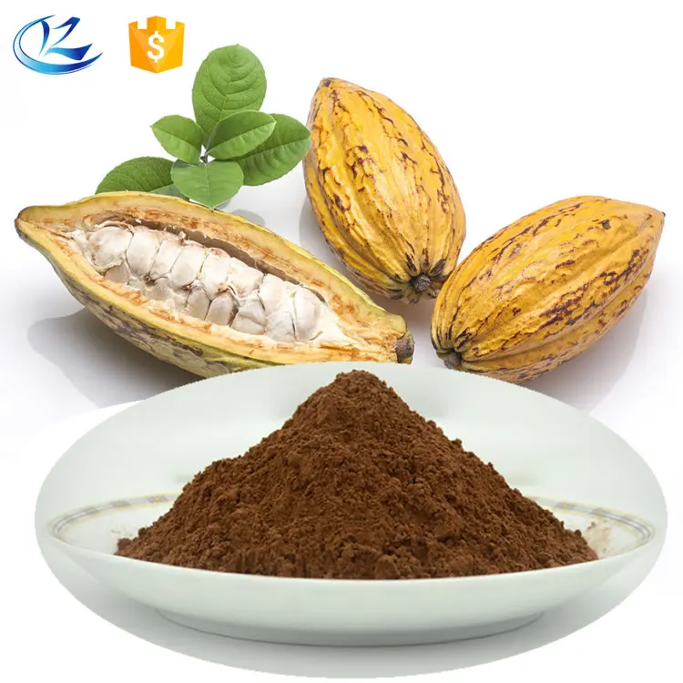 Natural/Alkalized Cocoa Powder With Good Price