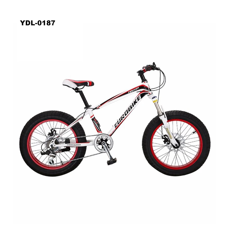 Customized Design 20 Inches Mountain Bike Aluminium Alloy Fat Tire Bike Double Disc Brake Snow Bicycle