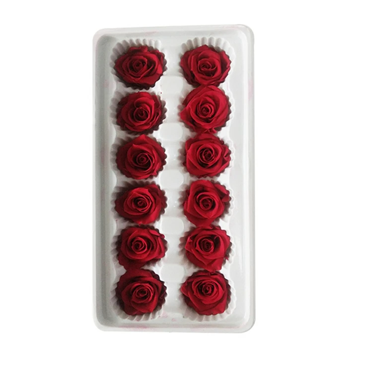 
Scientific Names of Flower Longlife Roses Preserved Roses discount 