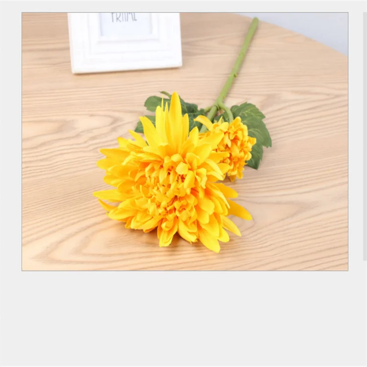 Factory Wholesale Fresh Cut Chrysanthemum For Home Decoration