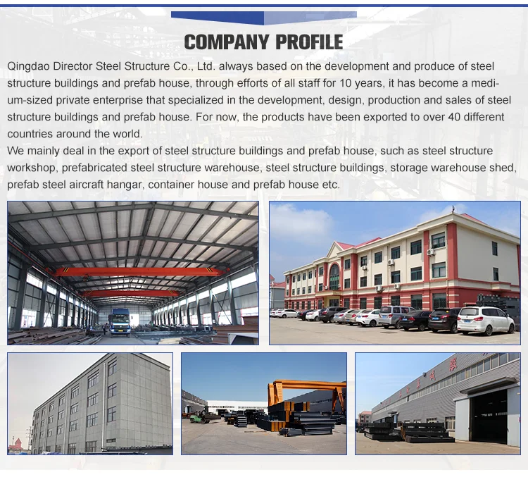 China Cheap Light Steel Frame Prefabricated Industrial Farm Metal Shed Kit