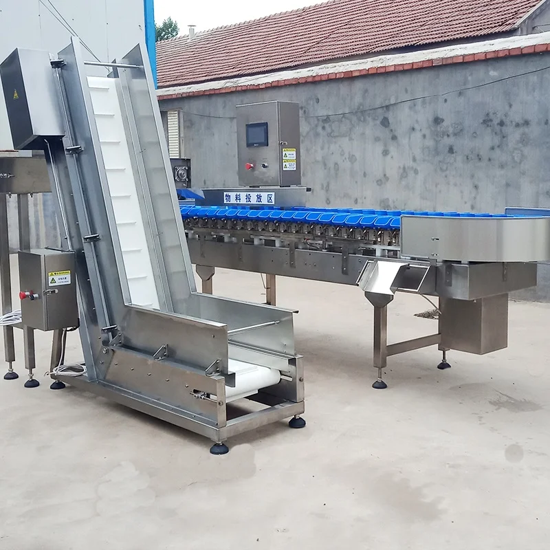 New Design Tilapia Sorter Grader Sorting Grading Machine