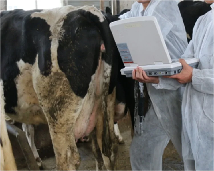 DAWEI DW-VET2 Livestock farm purpose Portable veterinary ultrasonic diagnostic instrument/Vet ultrasound scanner good price