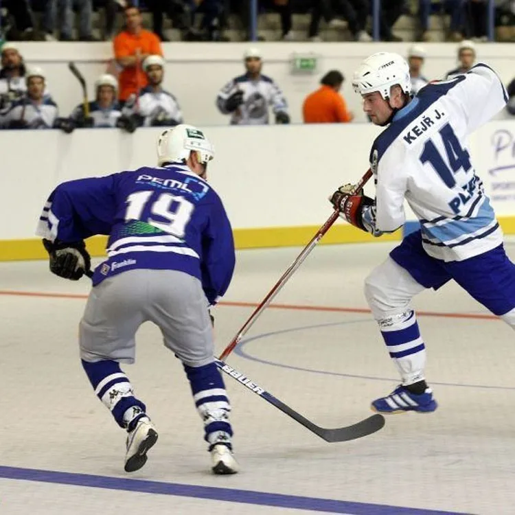 China Gold Supplier High Technology pp sport flooring for inline hockey