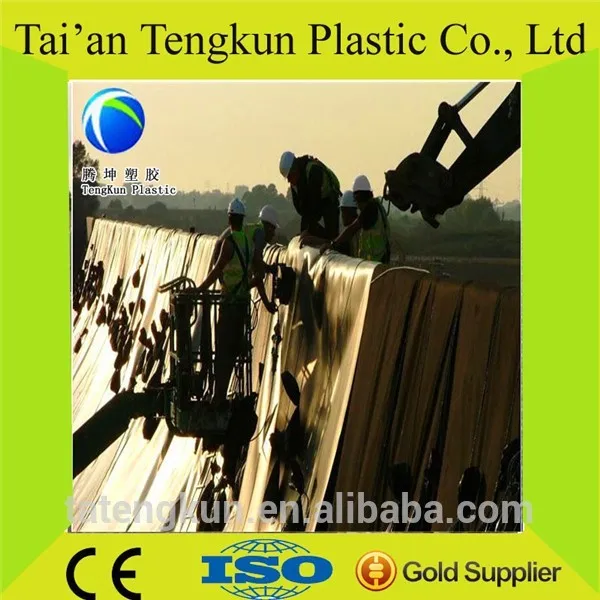 Цена от производителя Polyethlene геомембраны 1 мм пнд лайнер лист