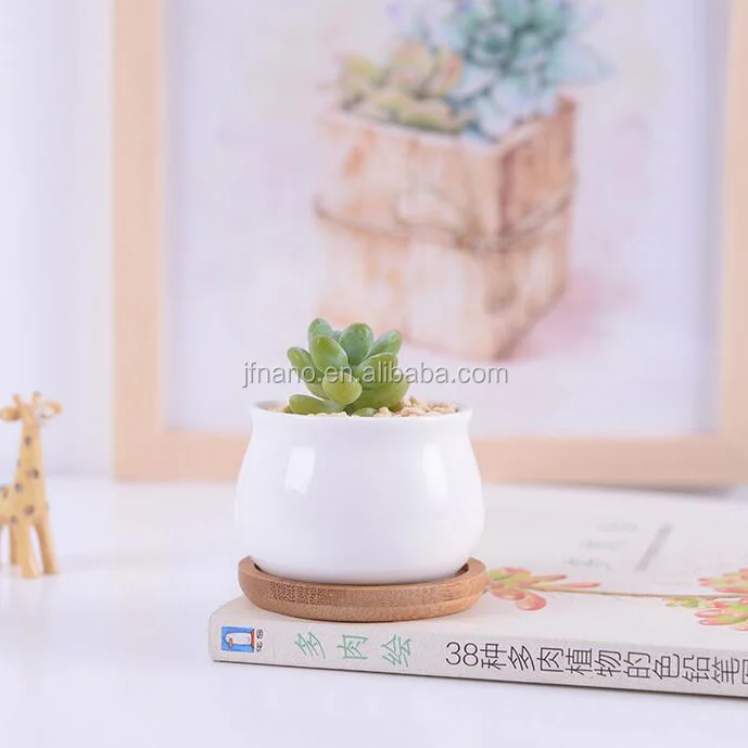
3 inch small round white succulents ceramic pots with bamboo tray 