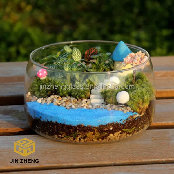 Glass Jar Terrarium