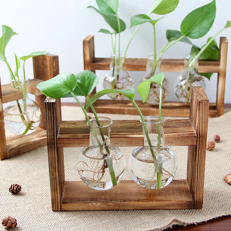 Creative Wooden Hydroponic Container Transparent Glass Vase for Green Plant Desktop Decoration for Home Use on the Floor