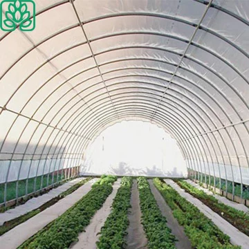 Aquaponics Growing Systems Plastic Film Greenhouse