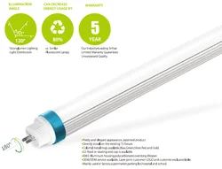 Ultra bright 175LM/W frosted cover direct wire type b t5 led tube g5 TUV SAA CE DLC approved with 5 years warranty