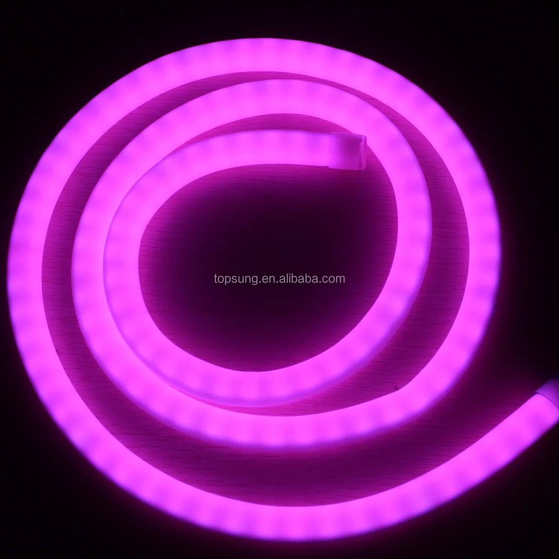 Dynamic Digital LED neo Neon flexible strip lights tube 360 degree 10 pixel per meter 24V RGB rope
