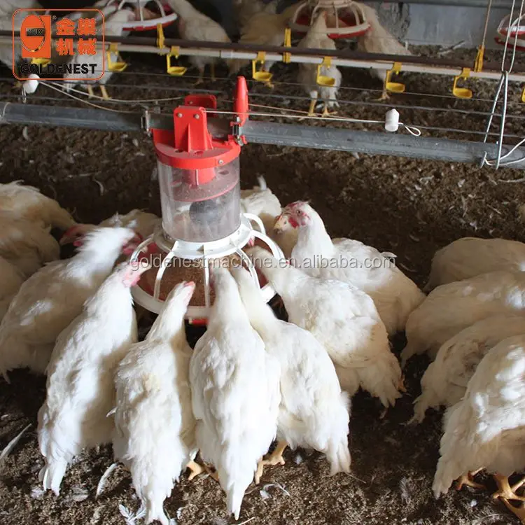 Goldenest Poultry breeder Chicken Breeding Machine Chicken egg poultry farm Equipment Automatic