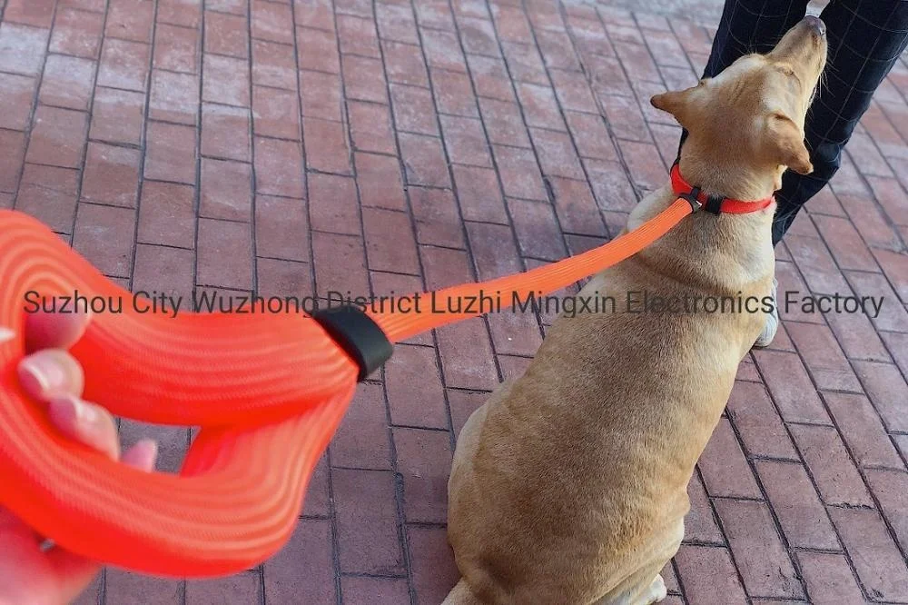 Lightweight PET lead and collar