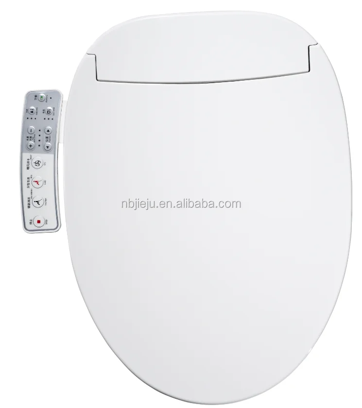 
Intelligent Electric Toilet Bidet Seat 