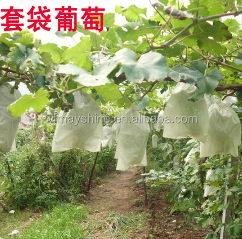 
Fruit Growing Bags for Grapes 