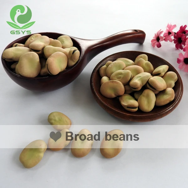 Qinghai Fava Beans Broad Beans