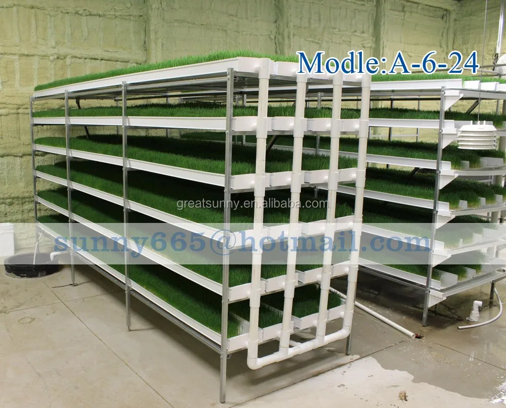 Гидропонные кормовые системы для крупного рогатого скота