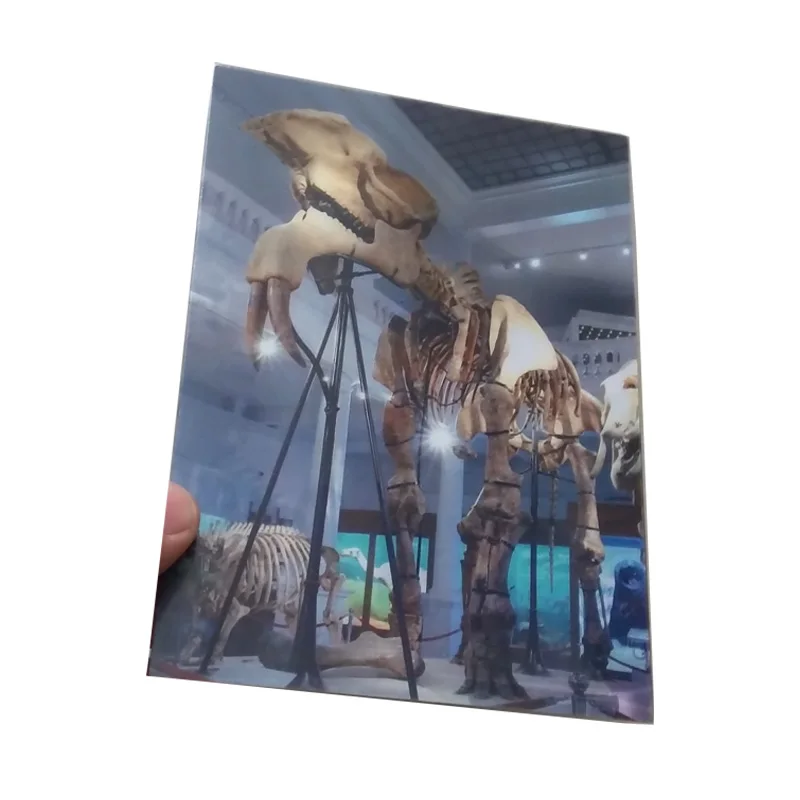 custom printing 3d lenticular business card