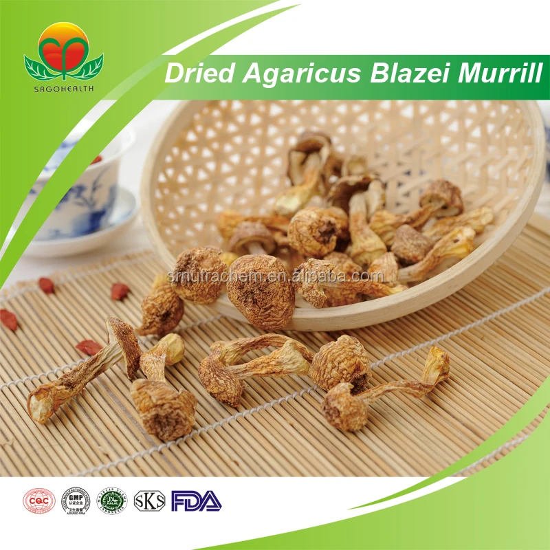 Сушеный агарикус блейсей муррилл по конкурентоспособной цене