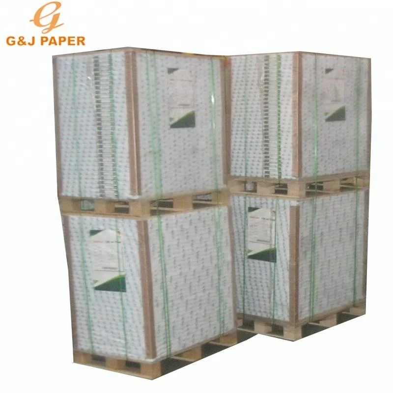 
115gsm A1 Size C2S Magic Art Paper 