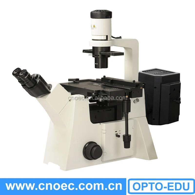 A16.2702 fluorescence microscope/fluorescence microscope inverted