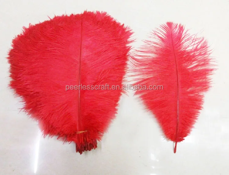 Оптовая Продажа Цветных больших страусиных перьев FC429