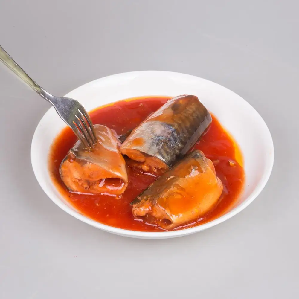 canned mackerel fish in tomato sauce