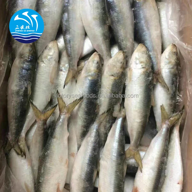 Frozen Sardine Fish Meal Dried Sardine Factory