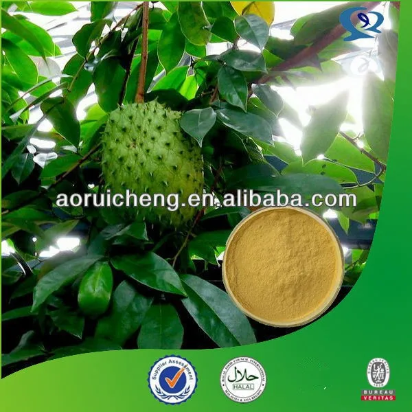 Bulk graviola leaf tea extract powder