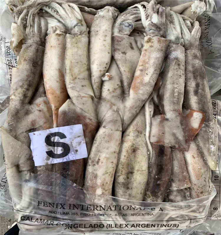 Sea fishing frozen Illex squid argentina illex squid