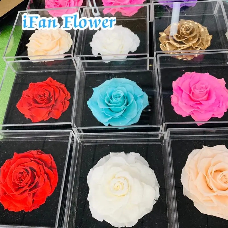 Unique Purple queen color wholesale preserved rose flower ecuador wholesale flowers