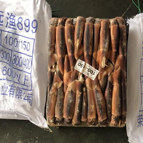 2019 best quality and freshest seafood  frozen illex argentina squid