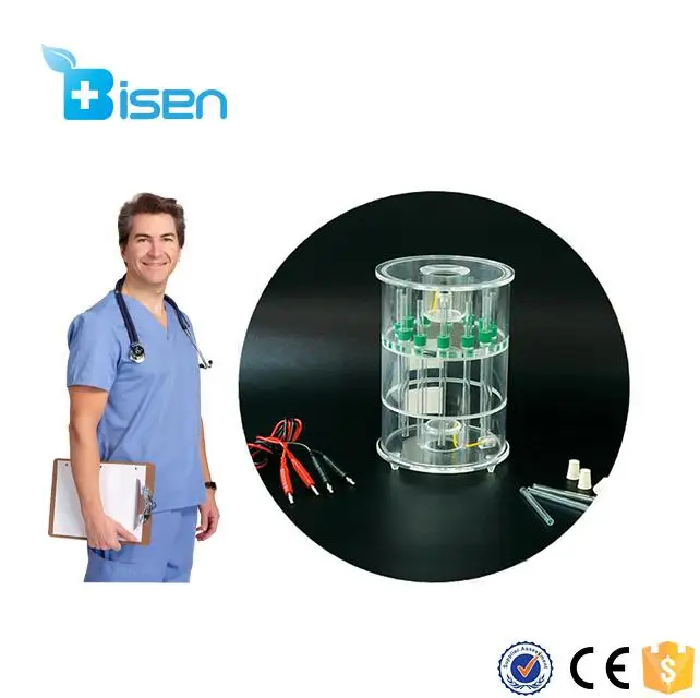 Dna Or Pcr Hemoglobin Electrophoresis Vertical Gel Electrophoresis For Western Blotting