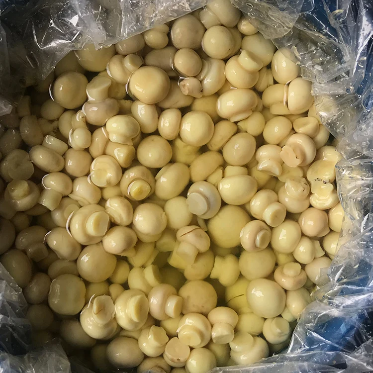 So yummy whole brined champignon mushroom in drum