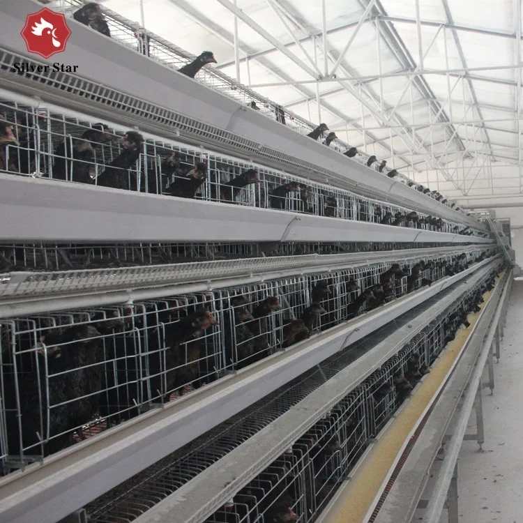 Poultry battery laying chicken cage for automatic livestock raising equipment