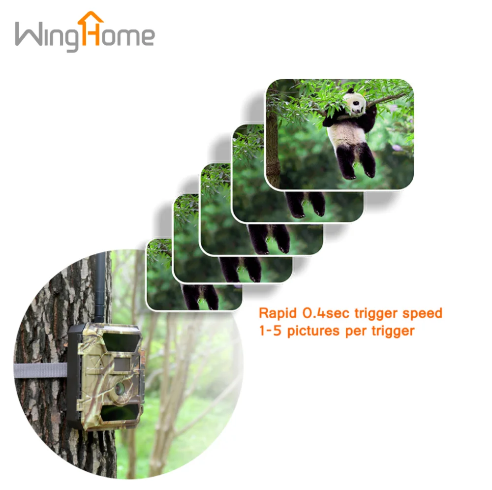 WingHome 350CG Night Vision Outdoor 3G digital trail hunting camera with ce/rohs/fcc