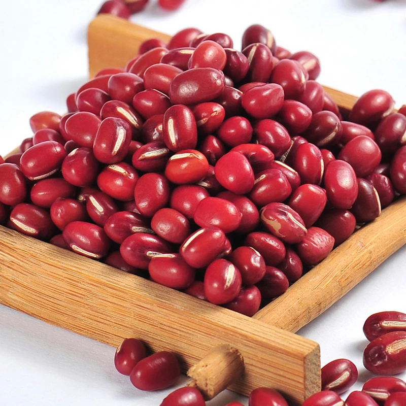 Natural fresh red bamboo beans