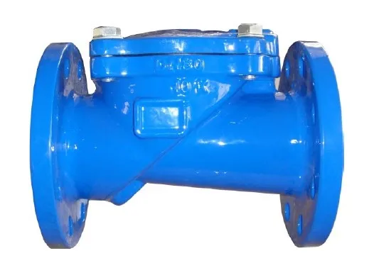 Rubber Disc Check Valve Ductile Iron Water OEM Normal Temperature General 3 Years Check One Way Rubber Duckbill Reducing Valve
