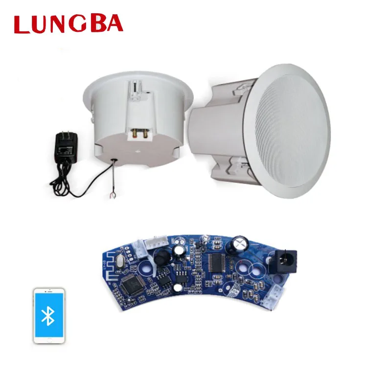 Factory Direct 6 Inch Active Ceiling Speaker With Rear Cover