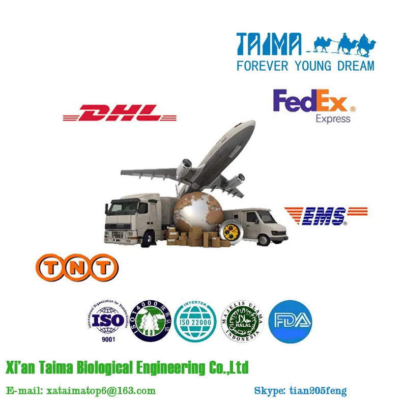 Manufacturer of Hexyl Alcohol /Hexanol /n-hexanol 99% n-Hexanol CAS NO.111-27-3