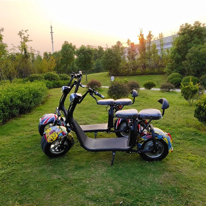 
EEC COC Anwa new product 1000w citycoco citycoco 2 wheel electric scooter electric tricycle 