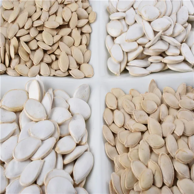 HIGH QUALITY 2024 crop delicious high quality Chinese roasted Pumpkin Seeds At Best Price