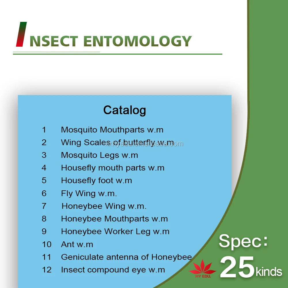 Hot-selling 25 kinds Insects whole mount slides Entomology series specimen microscope slides