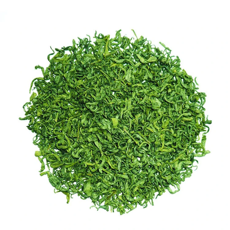 The Best China high strength green tea extract standardized for egcg natural supplement