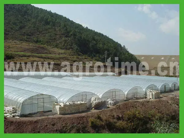 Easy to install greenhouse structure large single span green houses for sale greenhouse cooling system