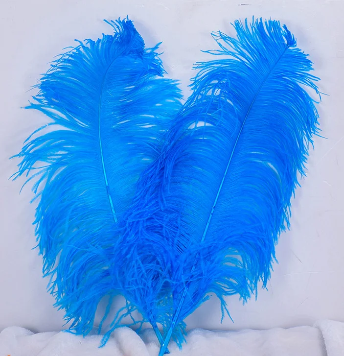 
Wholesale price factory cheap price Natural Decorative White ostrich feathers for wedding decor feather 