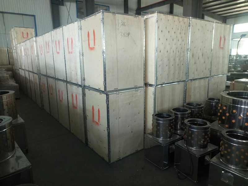 factory directly price ZH-30quail plucker machine,poultry plucker equipment,chicken plucker (lydia: +8615965977837)