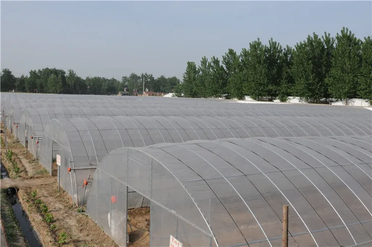 Сельское хозяйство полиэтиленовой пленки высокого качества ЕВА тепличной пленки