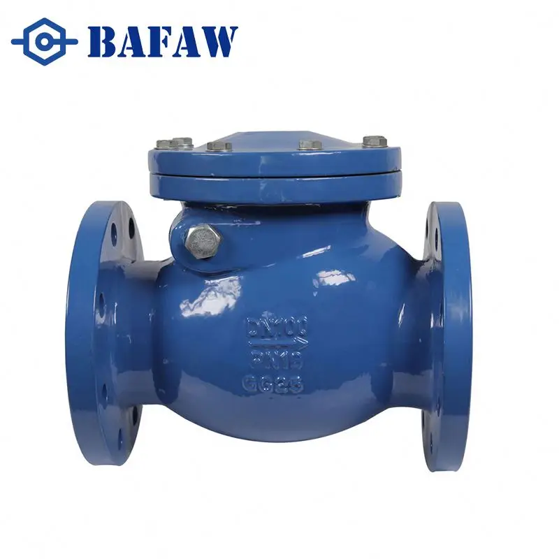 Top Quality Swing Type Plumbing Ductile Cast Iron Check Valve